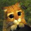 kibou