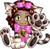 Zoh