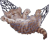 Zazu