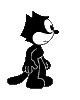 little_cat