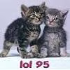 lol95