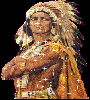 APACHE78