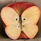 coramille
