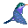 colibri85