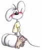 teddy63