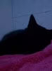 Soliloque