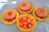 treatpops