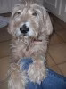 Jany