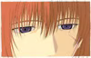 KenshiN