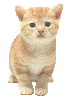 Flocky