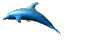 iroise