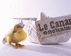 Clairette87