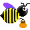 ticat