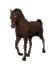 Caco
