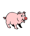 sirdoudou