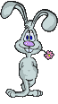 cpanpan