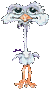 Phanoch