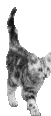 faubé