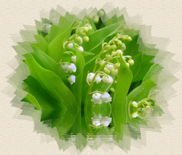 1ermai