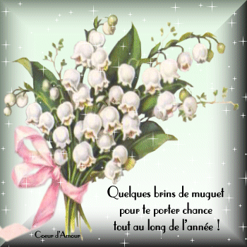 1ermai
