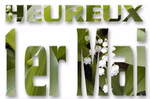 1ermai