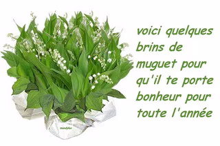 1ermai
