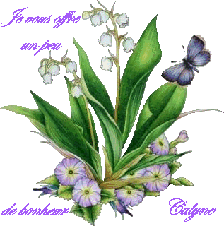 1ermai