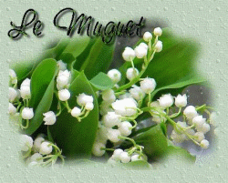 1ermai