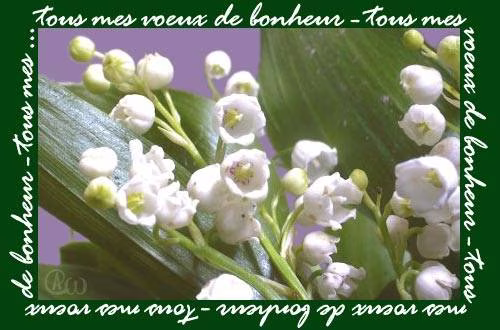 1ermai