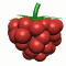 Aliments