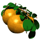 Aliments