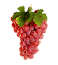 Aliments