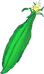 Aliments