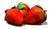 Aliments