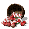 Aliments