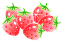 Aliments