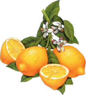 Aliments
