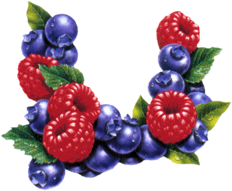 Aliments