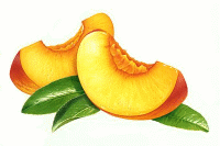 Aliments