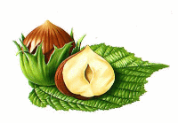 Aliments