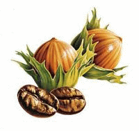 Aliments