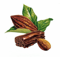 Aliments