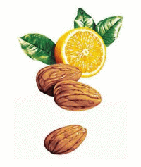 Aliments