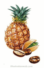 Aliments