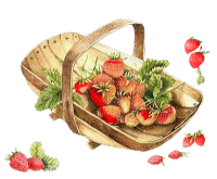 Aliments