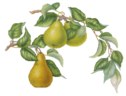 Aliments