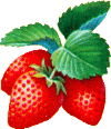 Aliments