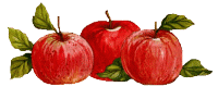 Aliments