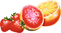 Aliments