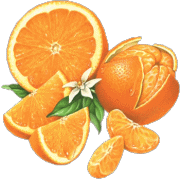 Aliments